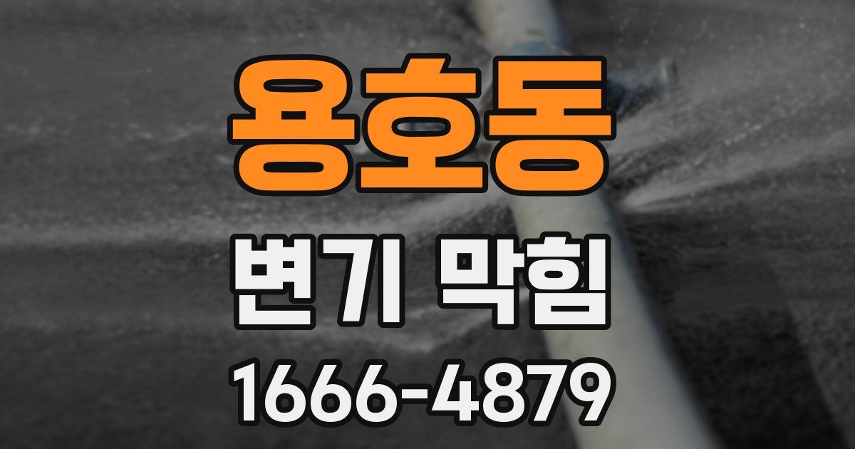 용호동 변기 막힘