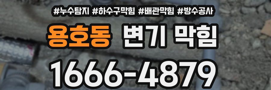 용호동 변기 막힘