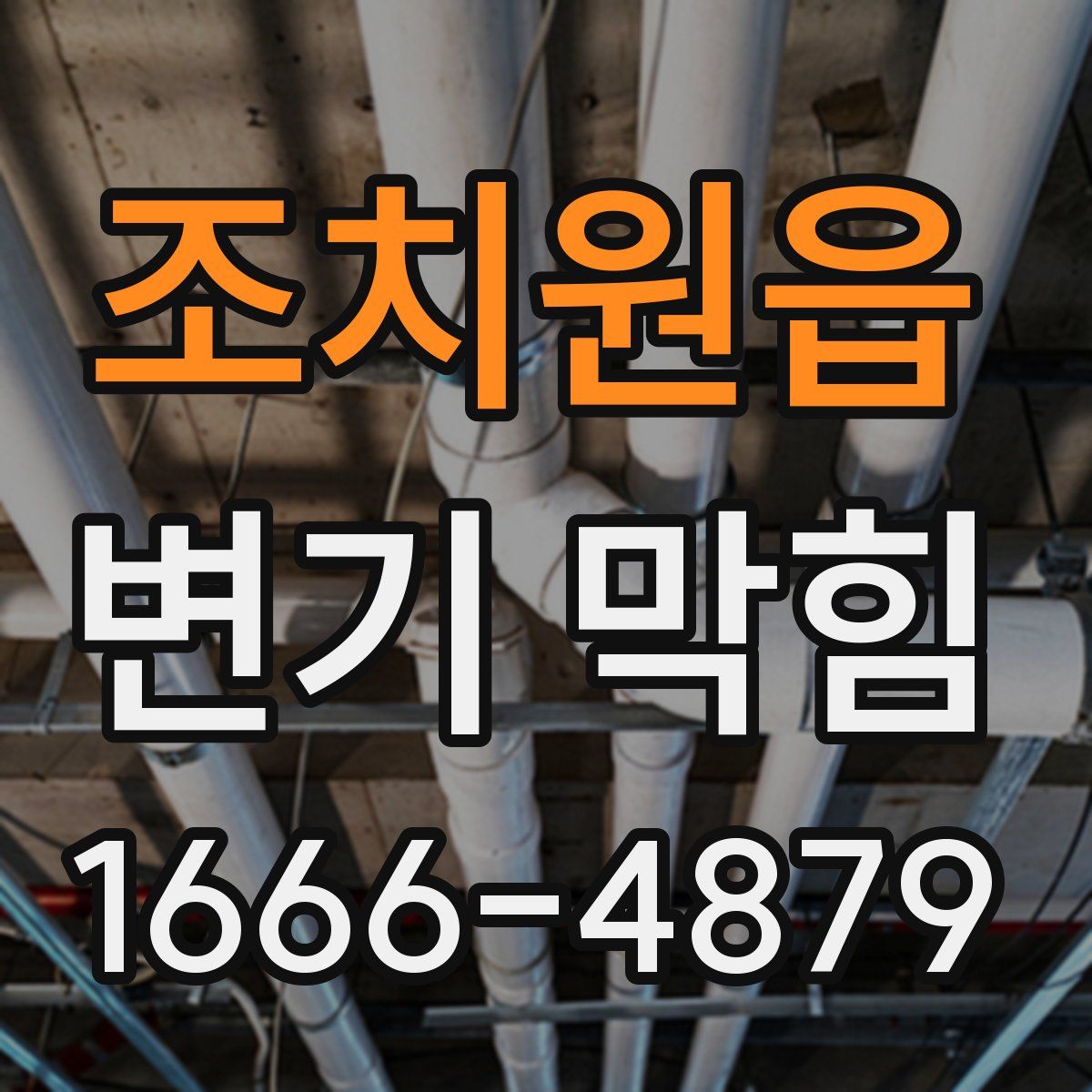 조치원읍 변기 막힘