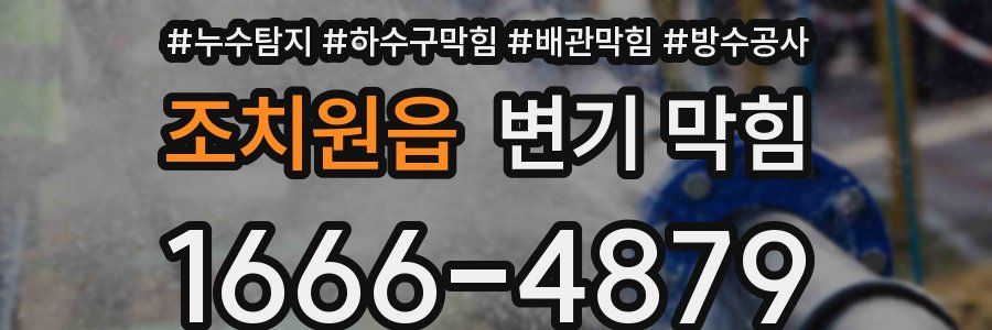 조치원읍 변기 막힘