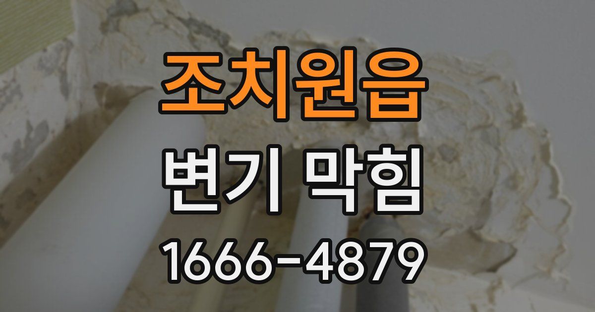 조치원읍 변기 막힘
