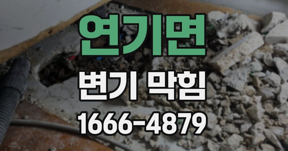 연기면 변기 막힘