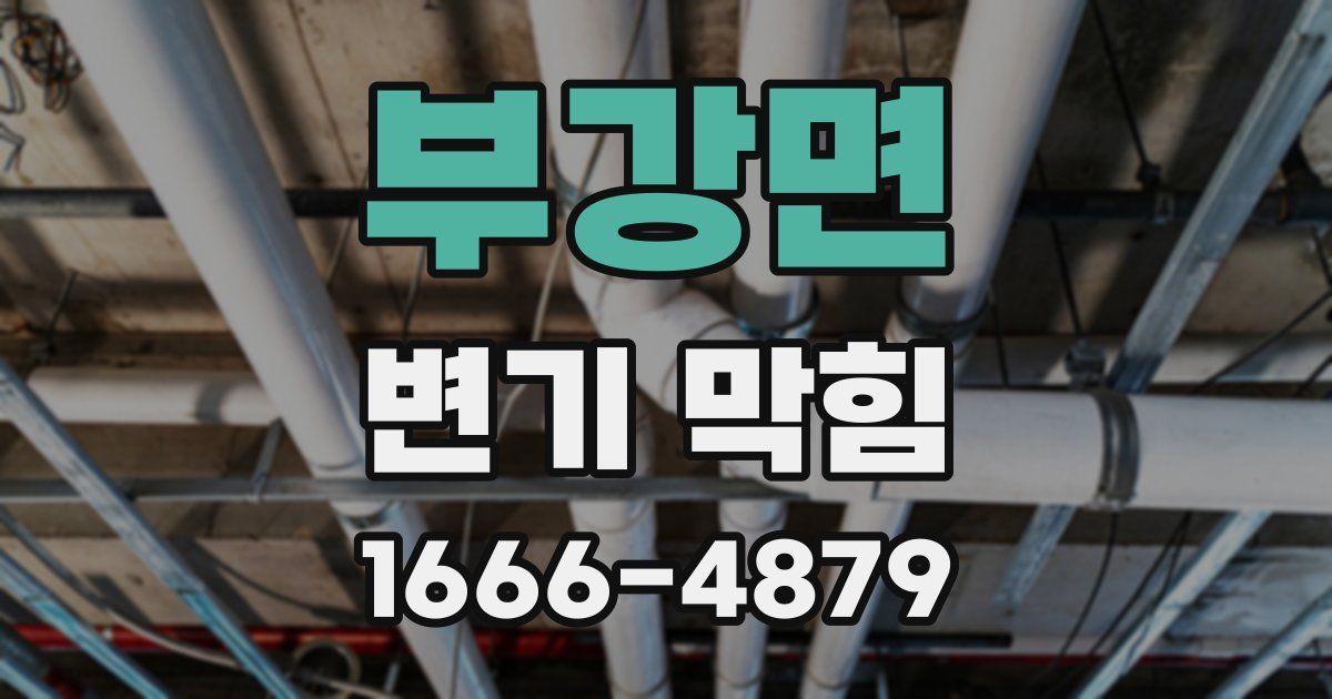 부강면 변기 막힘