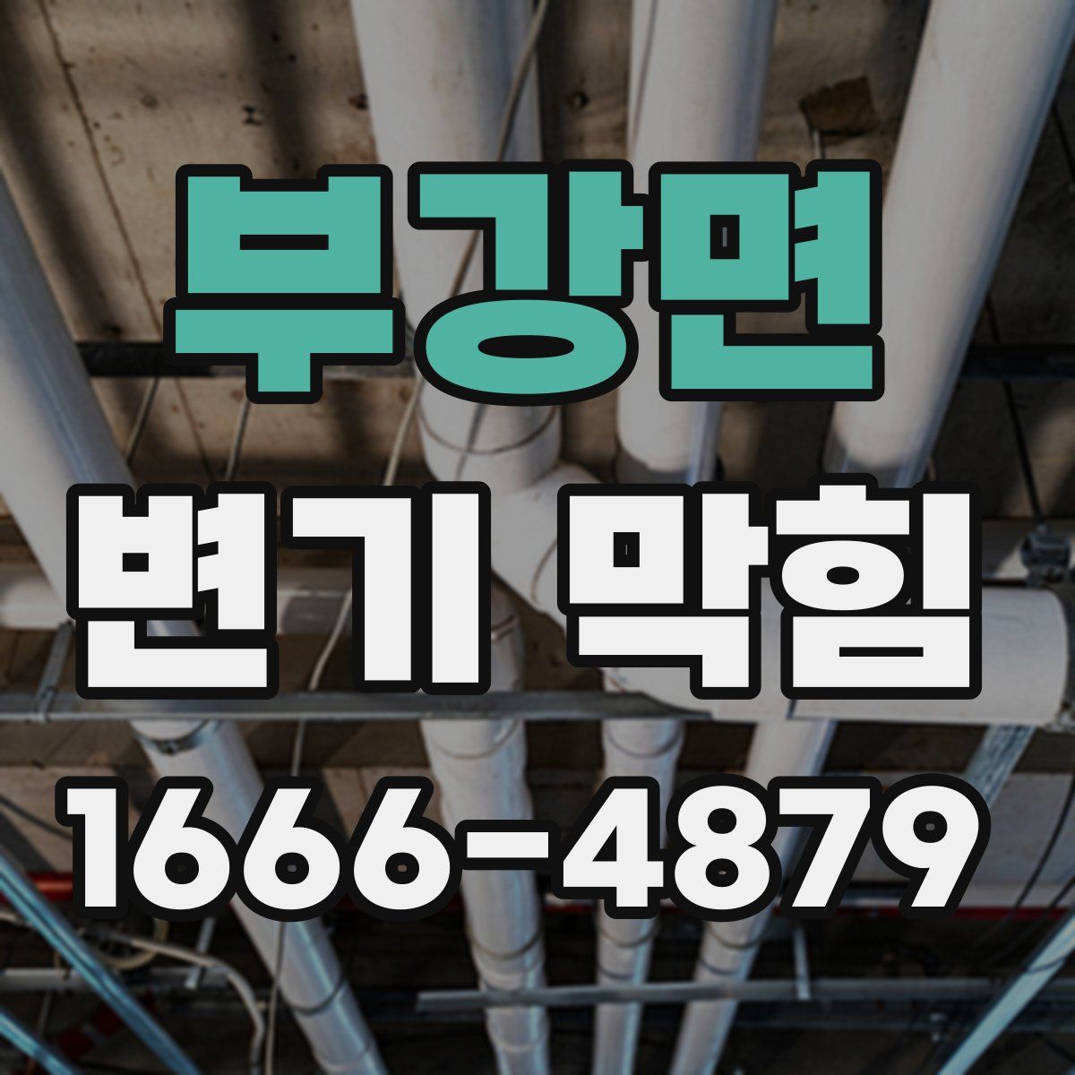 부강면 변기 막힘