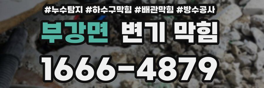 부강면 변기 막힘