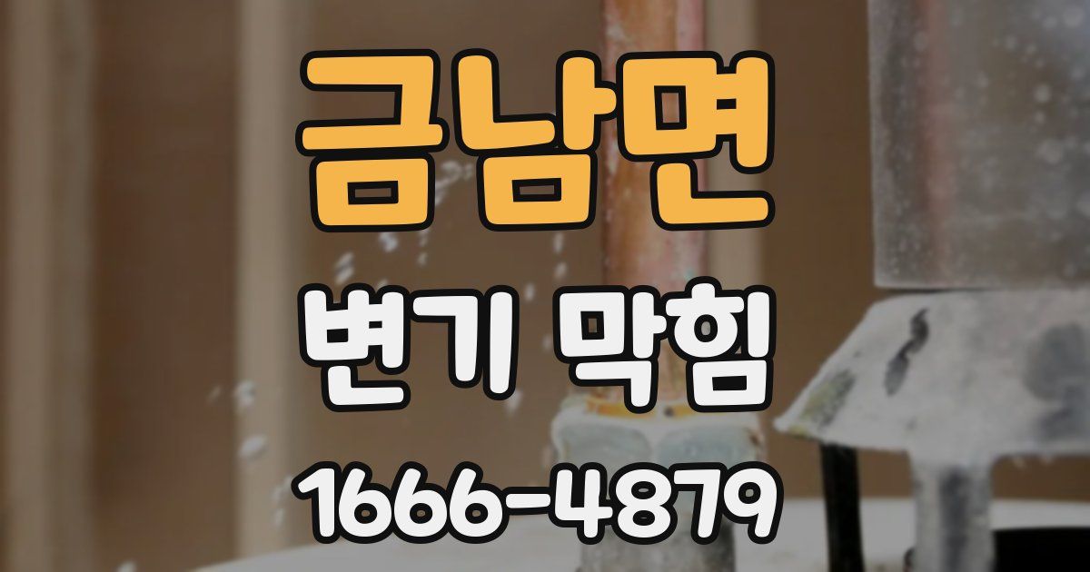 금남면 변기 막힘