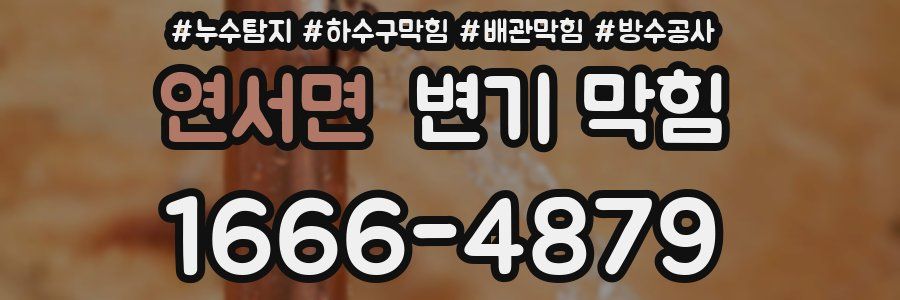 연서면 변기 막힘