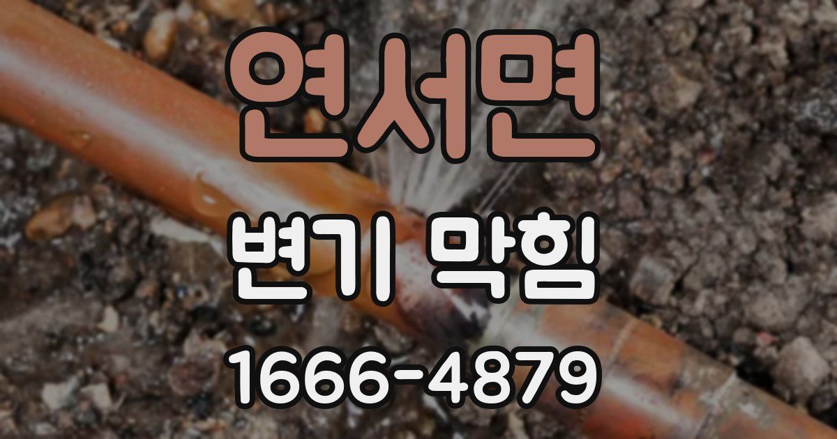 연서면 변기 막힘