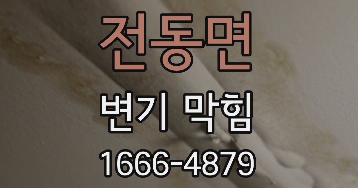 전동면 변기 막힘