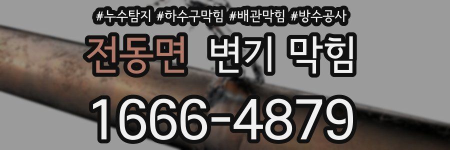 전동면 변기 막힘