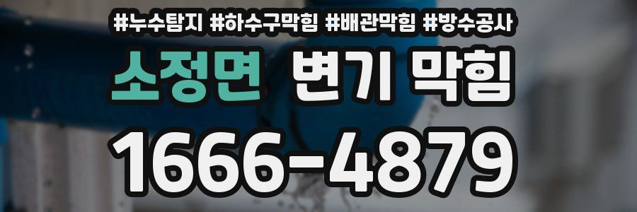 소정면 변기 막힘