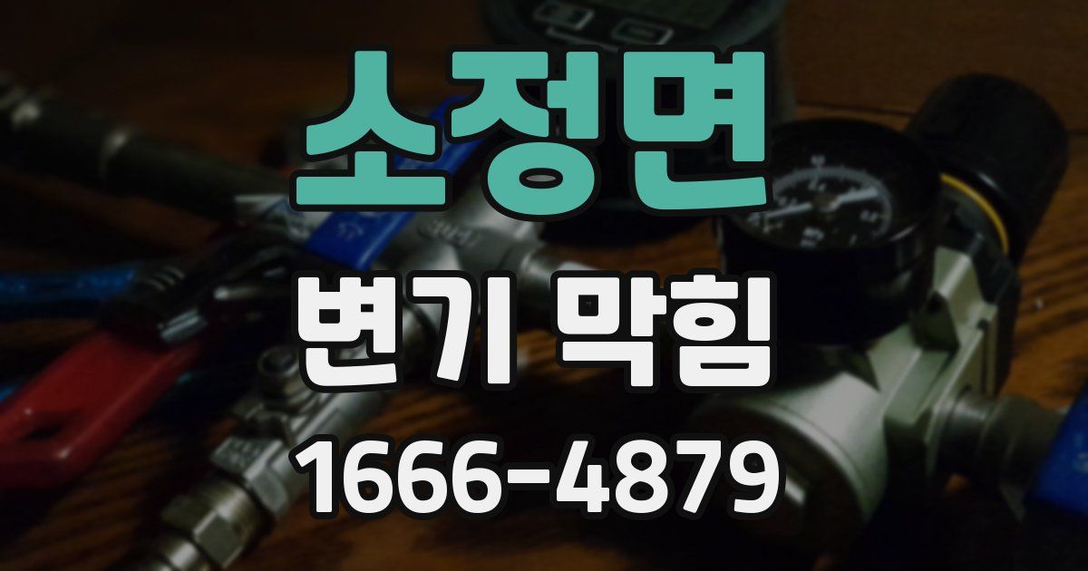 소정면 변기 막힘