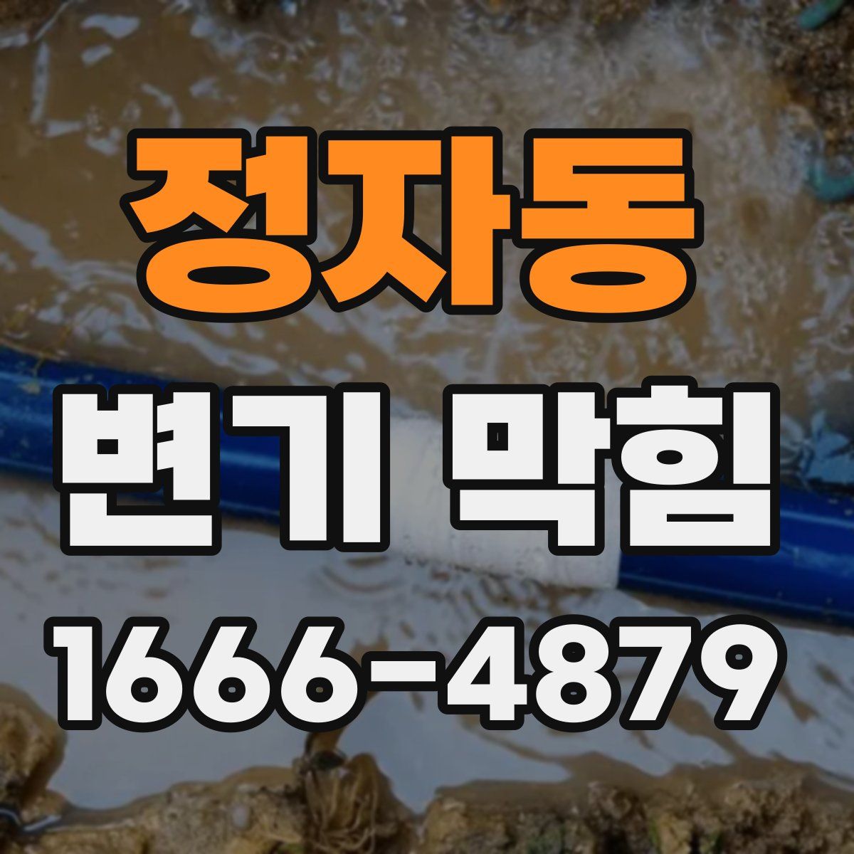 정자동 변기 막힘