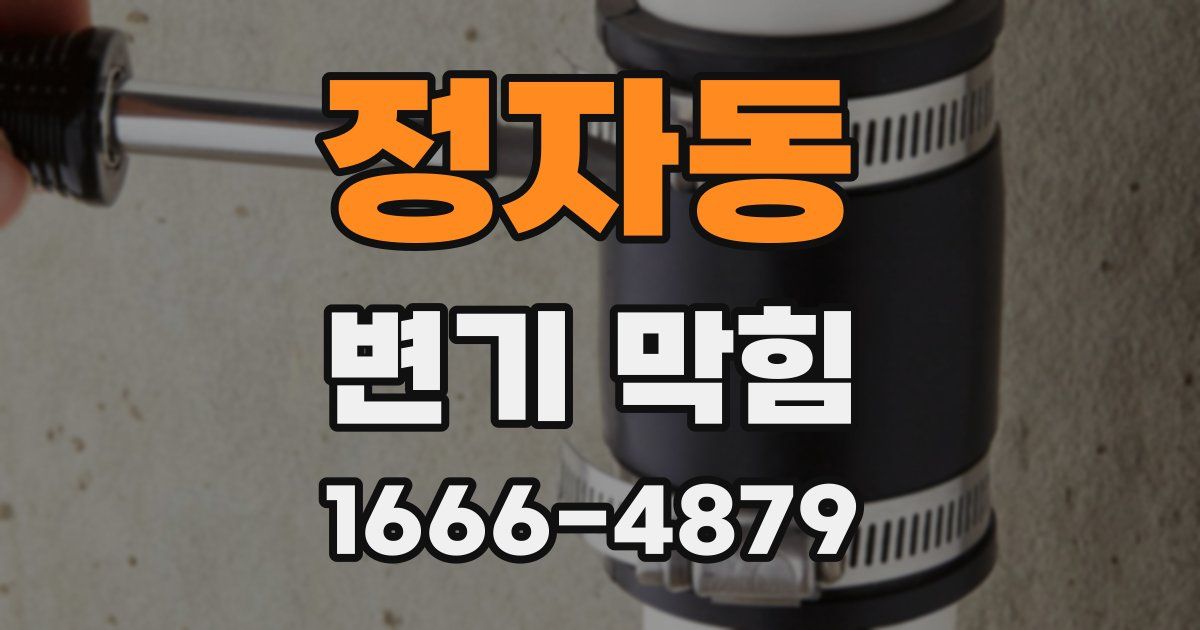 정자동 변기 막힘