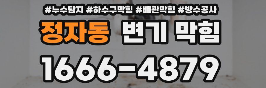 정자동 변기 막힘