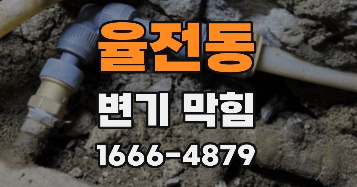 율전동 변기 막힘