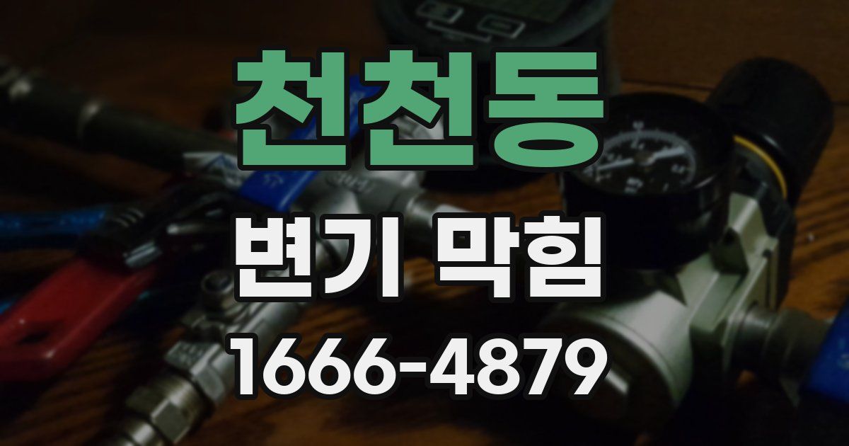 천천동 변기 막힘