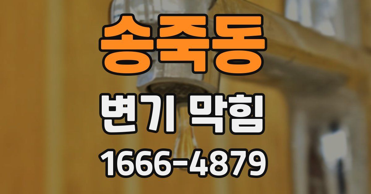 송죽동 변기 막힘