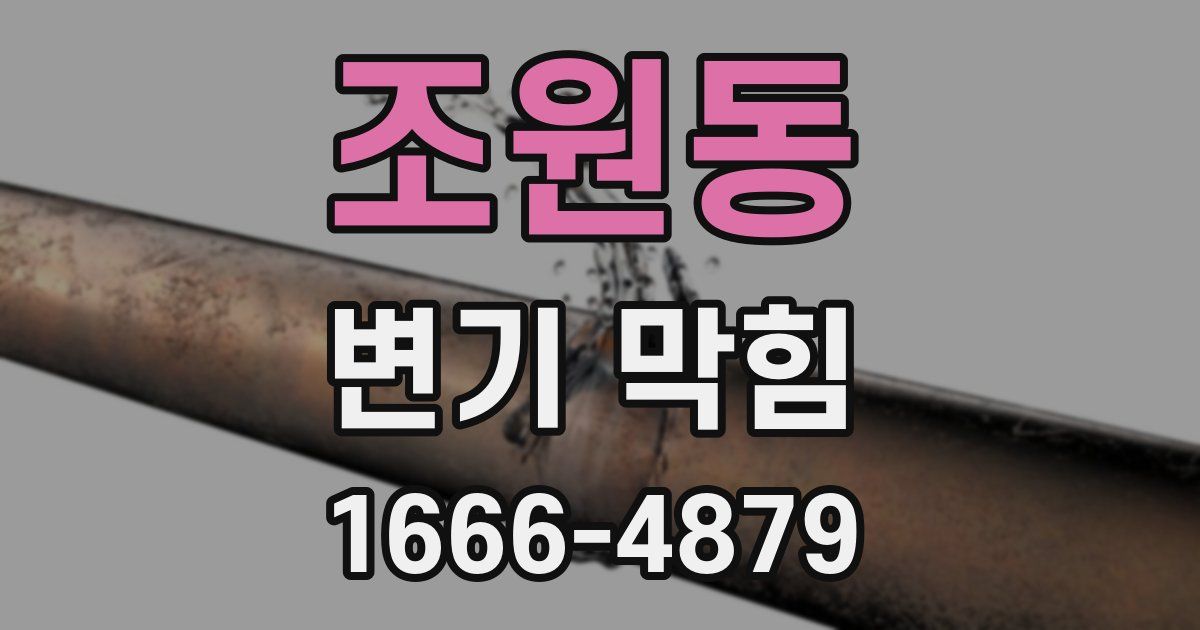 조원동 변기 막힘
