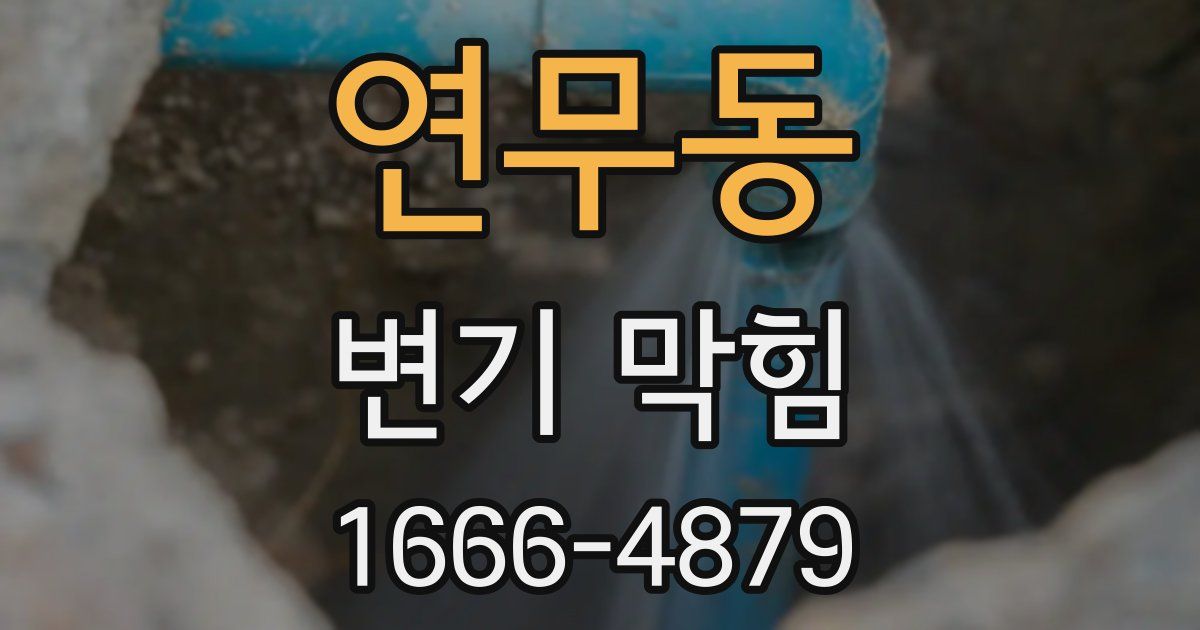 연무동 변기 막힘