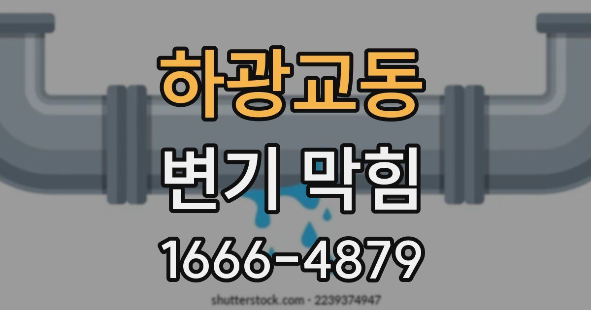 하광교동 변기 막힘