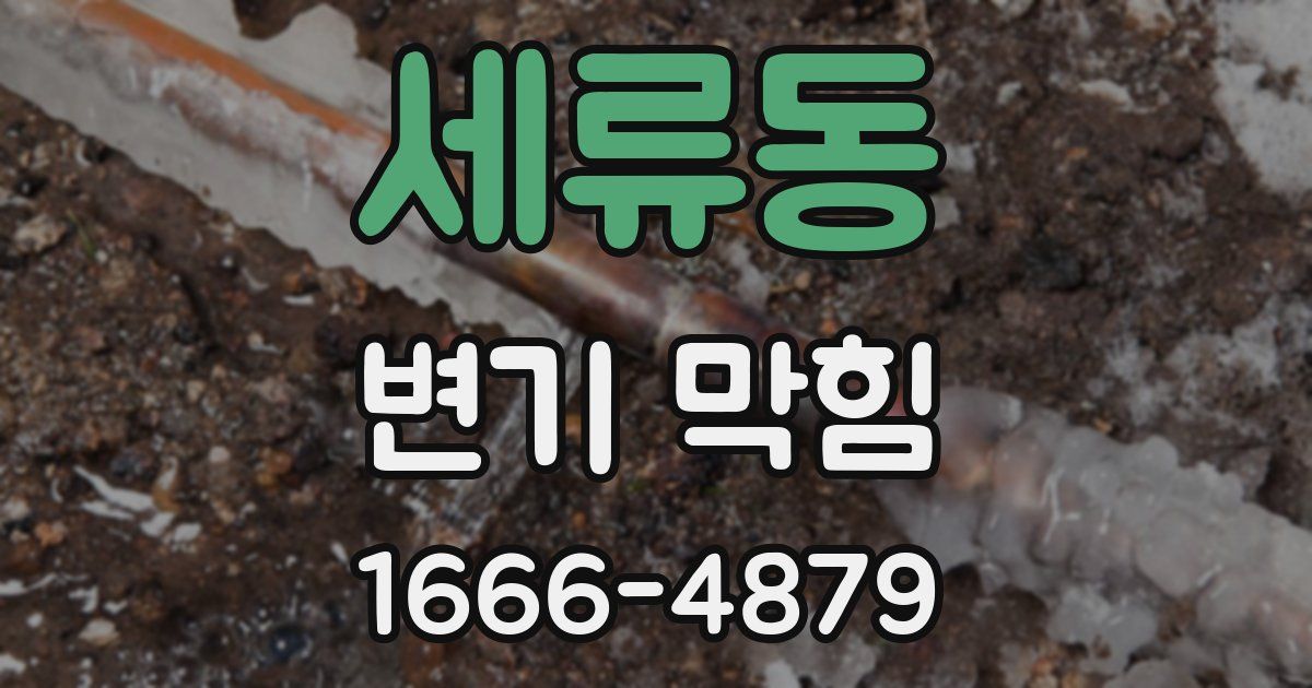 세류동 변기 막힘