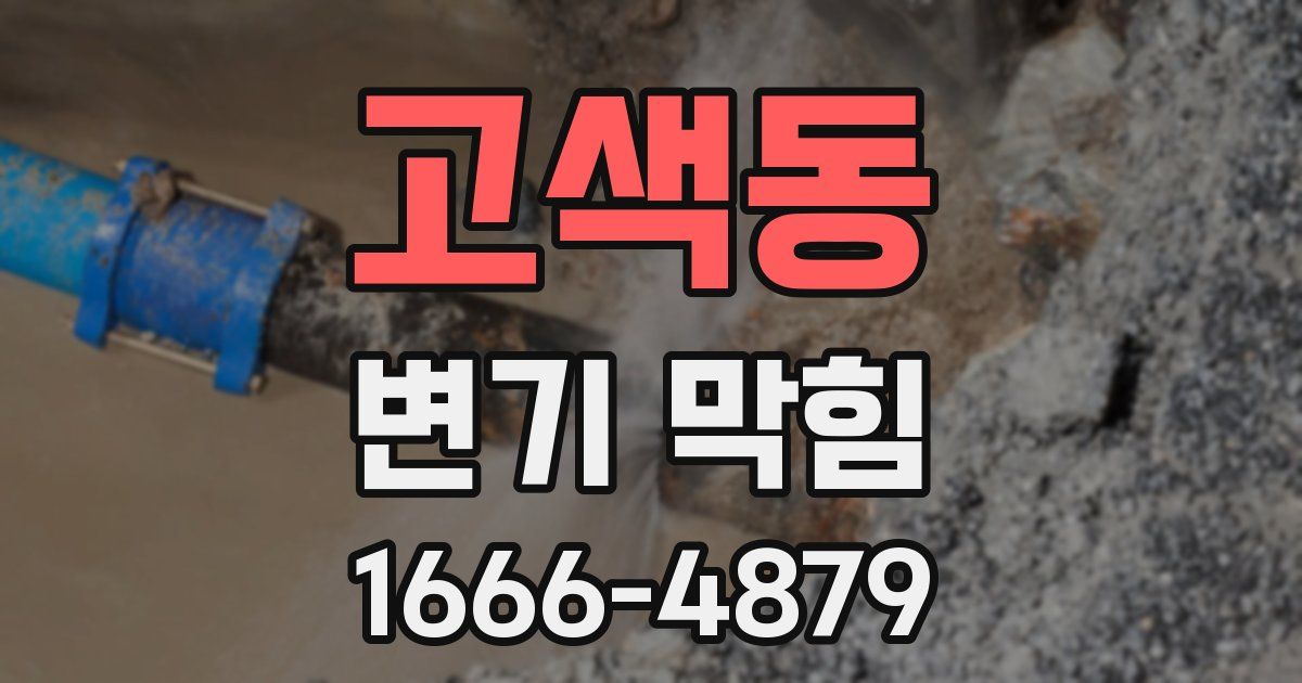 고색동 변기 막힘