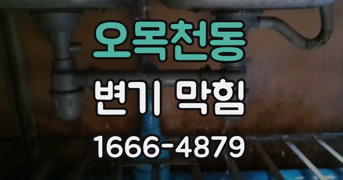 오목천동 변기 막힘