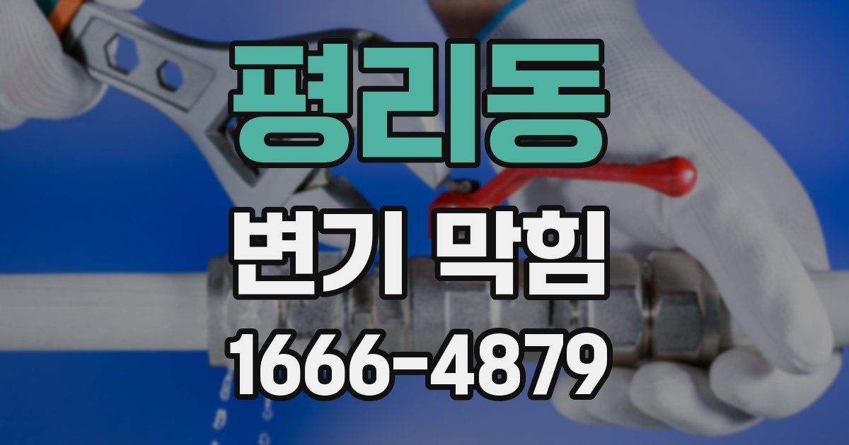 평리동 변기 막힘