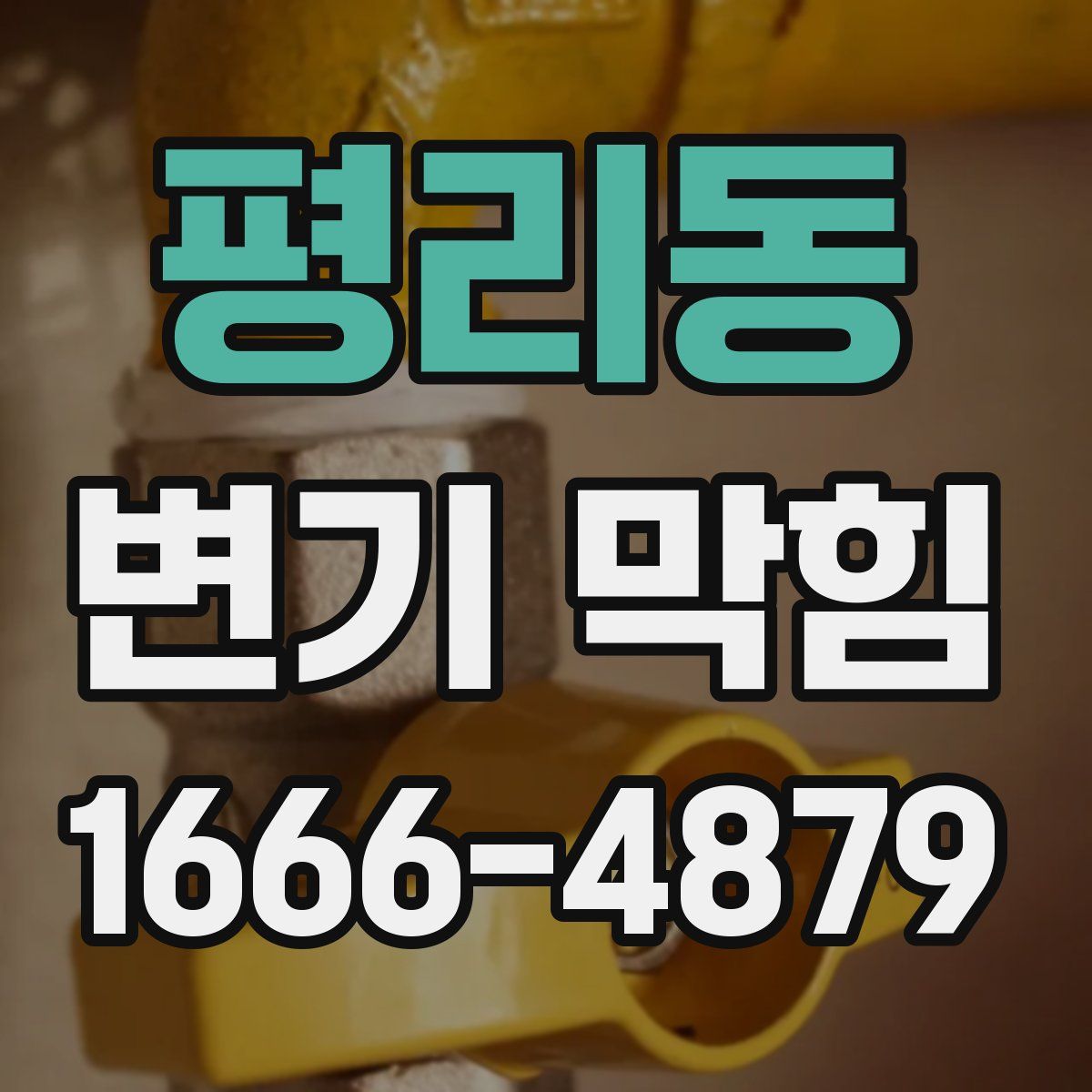 평리동 변기 막힘