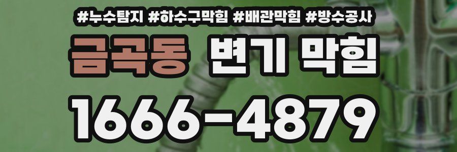 금곡동 변기 막힘