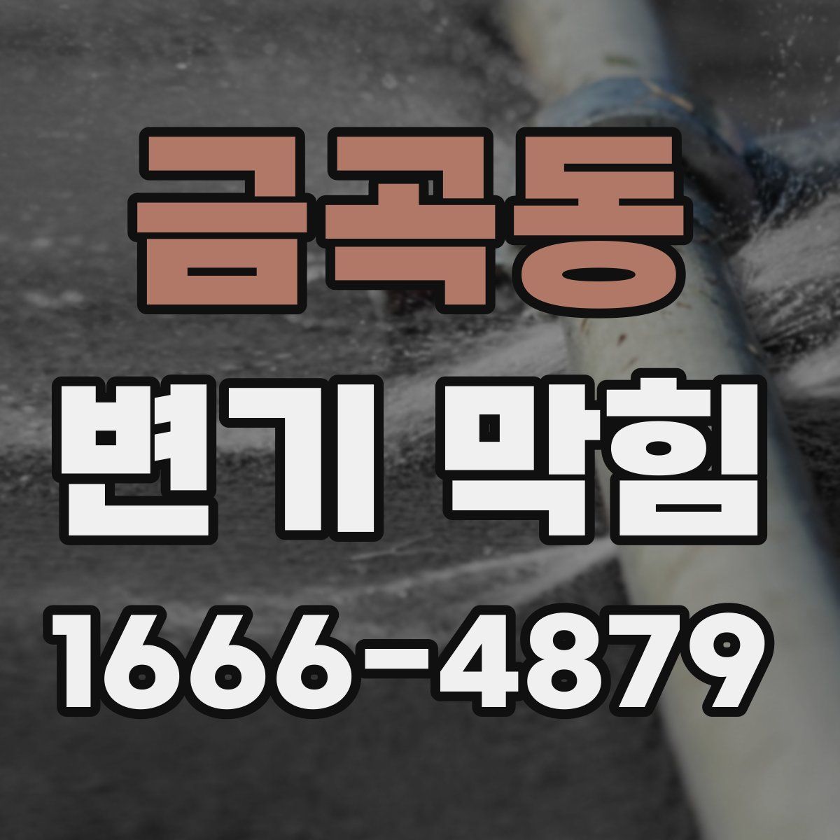 금곡동 변기 막힘