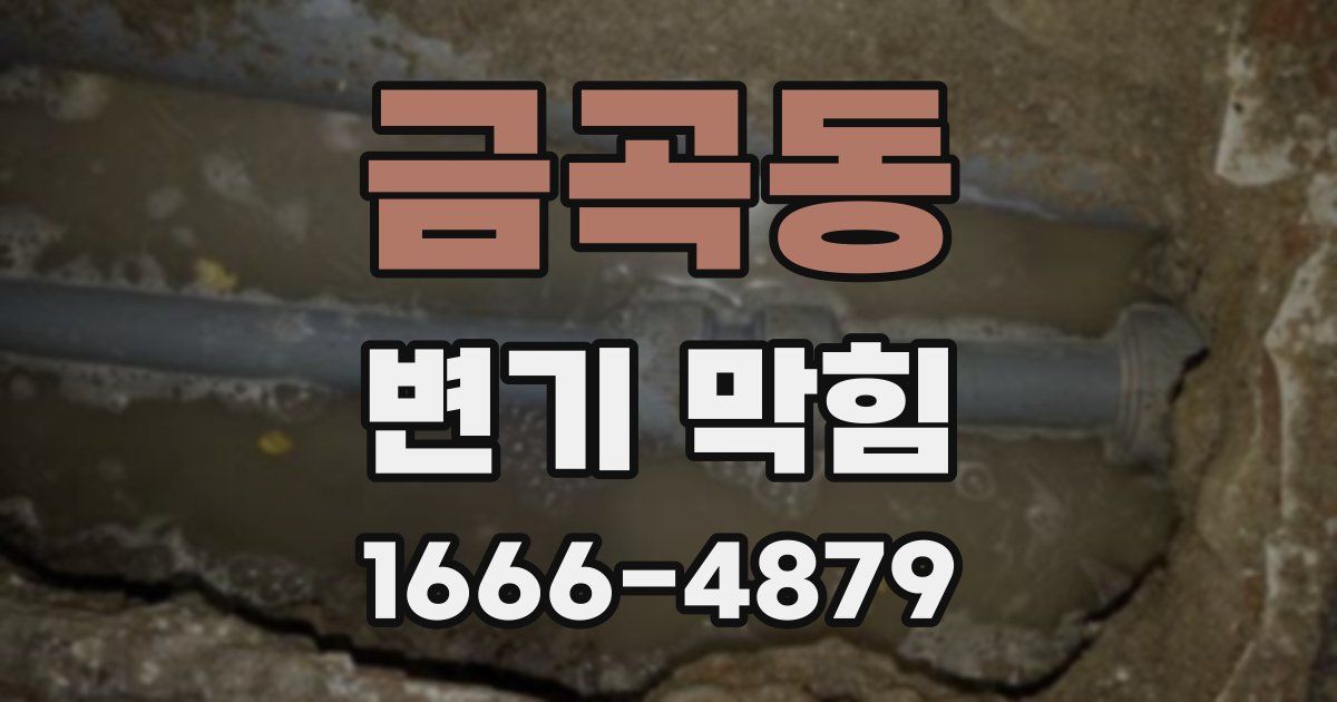 금곡동 변기 막힘