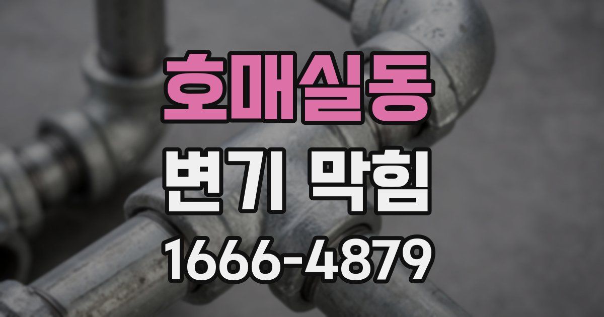 호매실동 변기 막힘