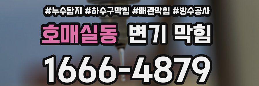 호매실동 변기 막힘