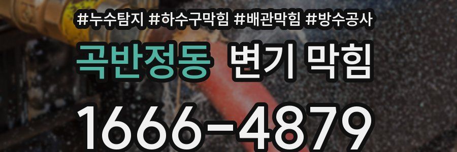 곡반정동 변기 막힘