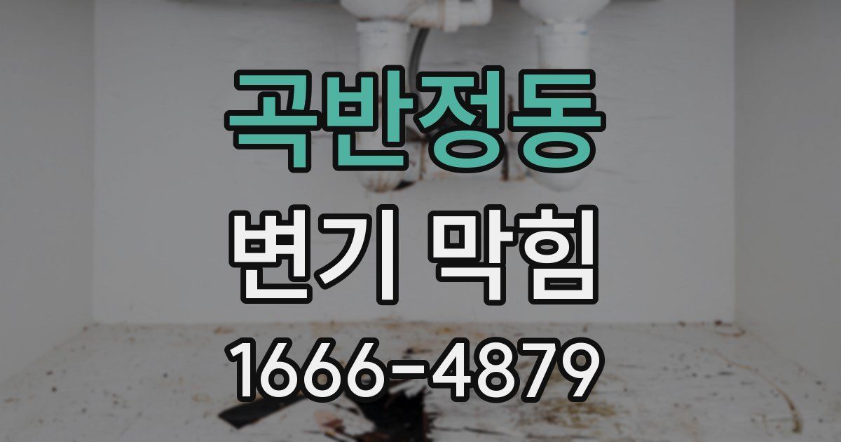 곡반정동 변기 막힘