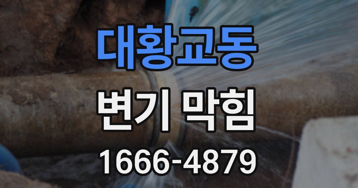 대황교동 변기 막힘