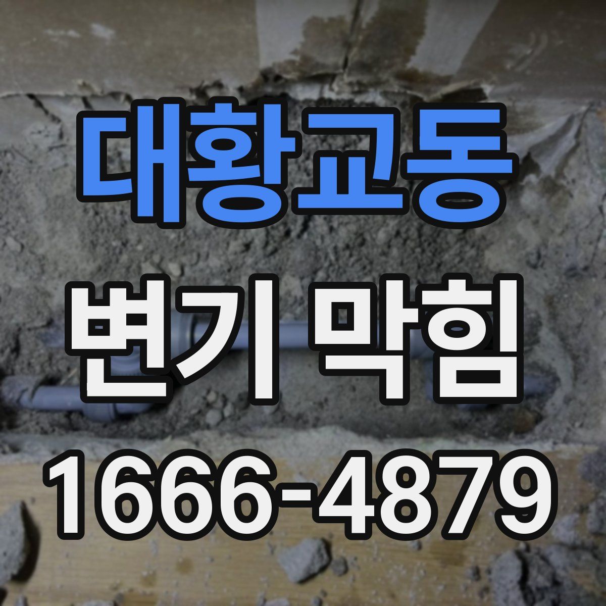대황교동 변기 막힘