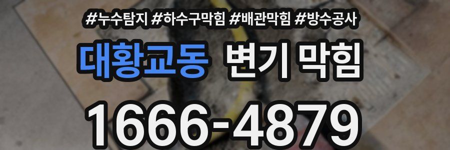 대황교동 변기 막힘