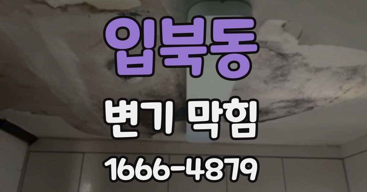 입북동 변기 막힘