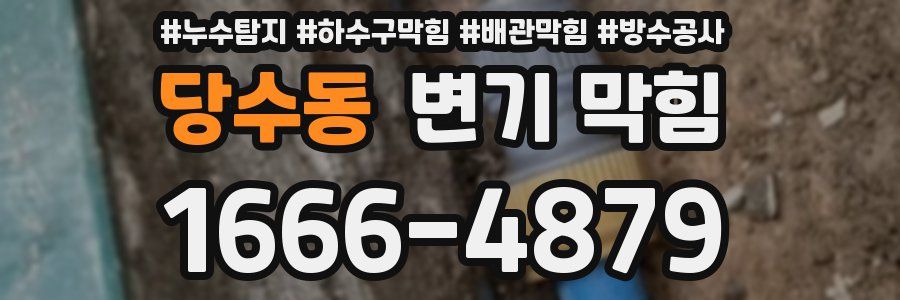 당수동 변기 막힘