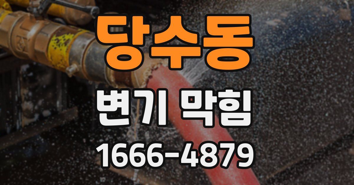 당수동 변기 막힘
