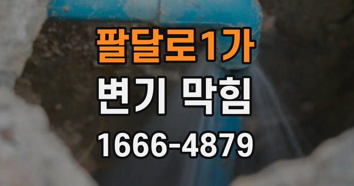 팔달로1가 변기 막힘