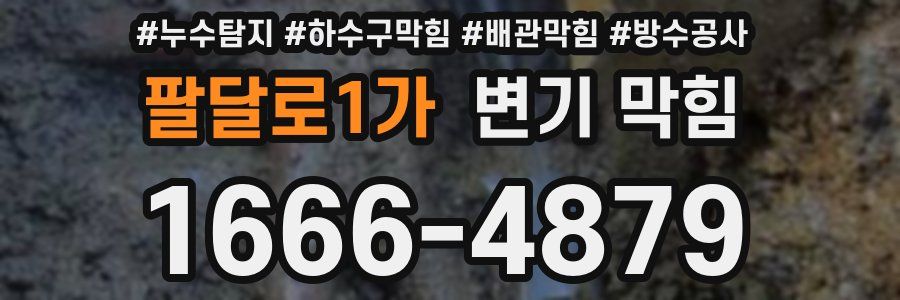 팔달로1가 변기 막힘