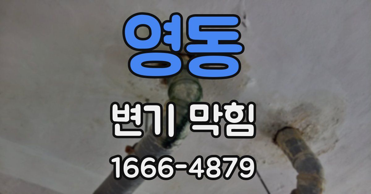 영동 변기 막힘