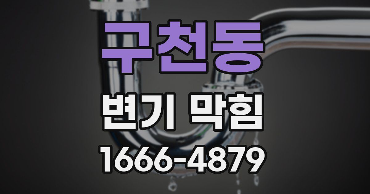 구천동 변기 막힘