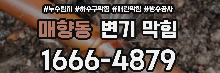 매향동 변기 막힘