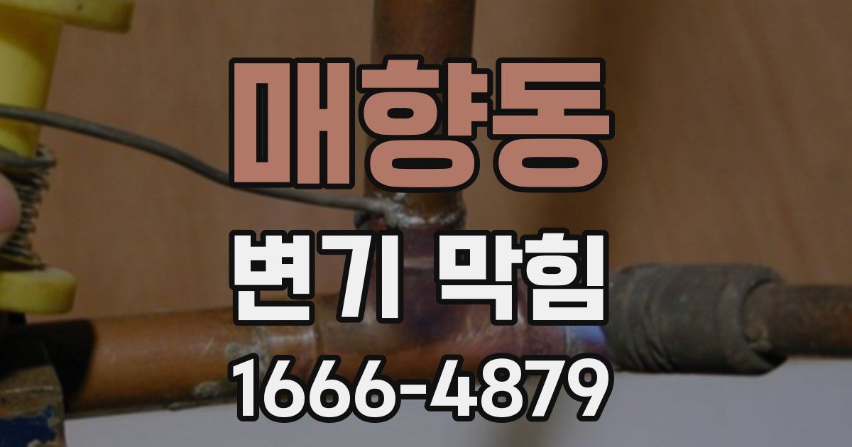 매향동 변기 막힘