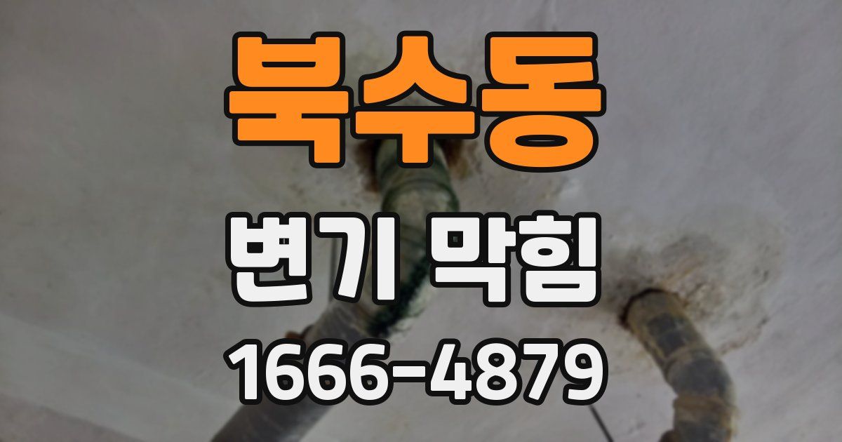 북수동 변기 막힘